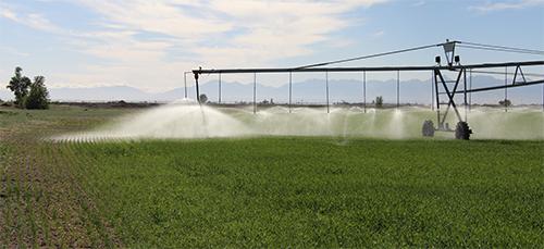 Trinidad State Agriculture image